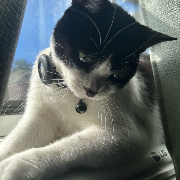 Meet your Posher, Ciara - Picture 2 of 3